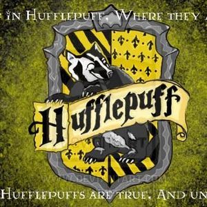 Meet your Posher, Chase